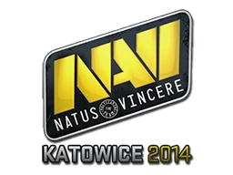 Natus Vincere | Katowice 2014