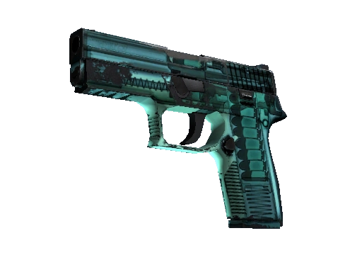 P250 | X-Ray (Field-Tested)