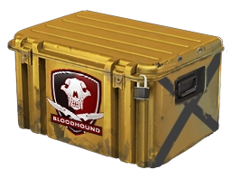 Falchion Case