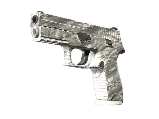 P250 | Sleet (Factory New)
