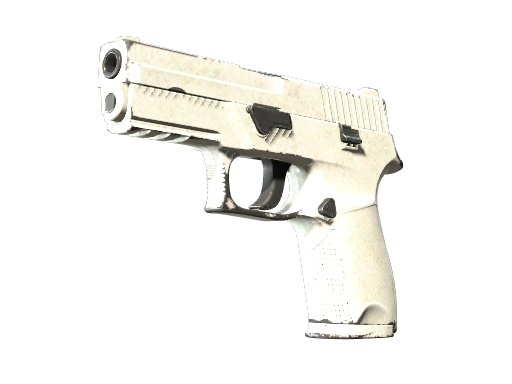 P250 | Whiteout (Well-Worn)