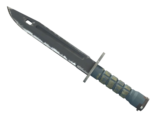 ★ Bayonet | Night (Well-Worn)