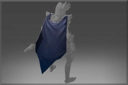 Cloak of the Master Thief